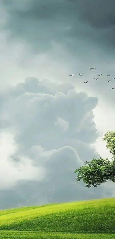 Lush green field with cloudy sky and tree.