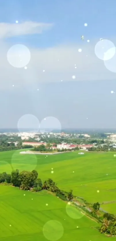 Lush green fields under a clear blue sky with floating bokeh lights.