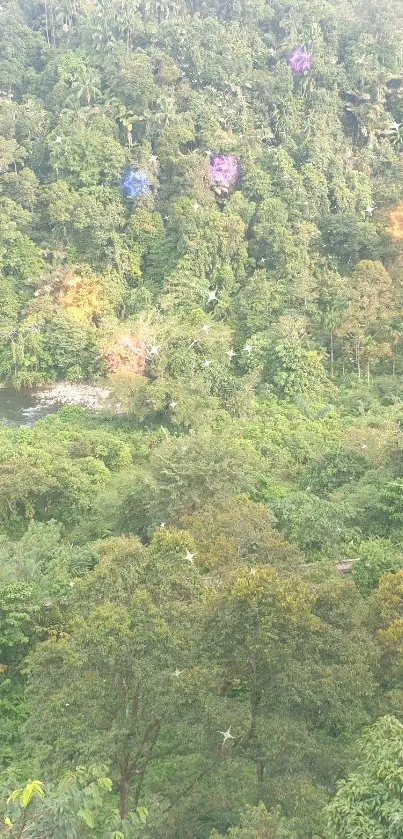 Serene green forest wallpaper with lush trees and river.