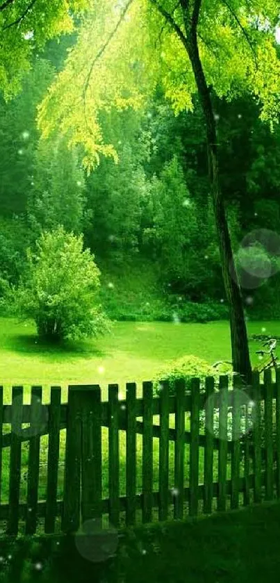 Sunlit green garden with a tree and fence.