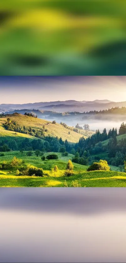 Serene green hill landscape wallpaper showcasing nature's beauty.