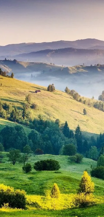 Serene green hills under morning sunlight with a misty mountain backdrop.