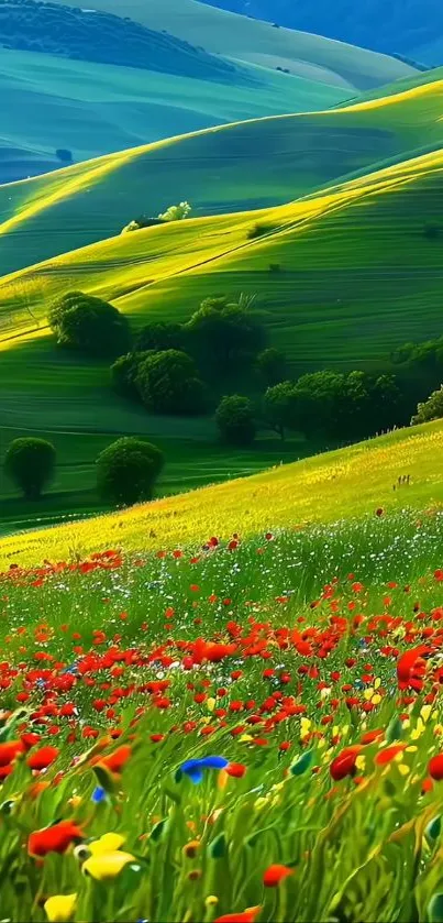 Colorful wildflowers on rolling green hills in springtime.