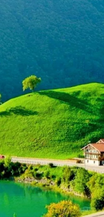 Vibrant green hillside with trees and a serene lake view.