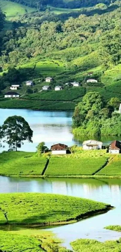 Serene green landscape with hills and lake.