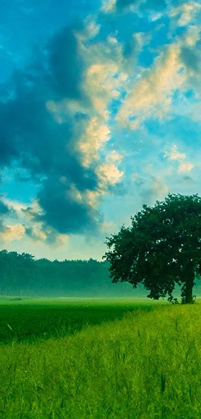 Tranquil green field with tree under blue sky.