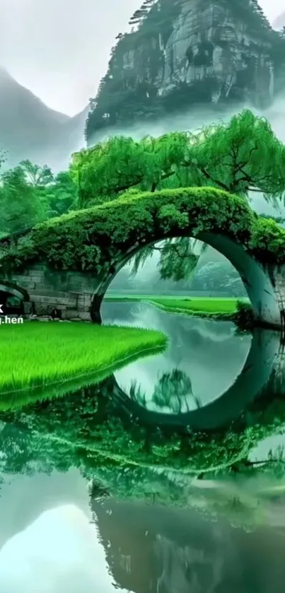 Serene green landscape with stone bridge and reflection in a tranquil setting.