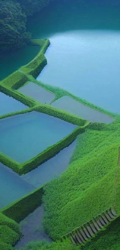 Serene green landscape with terraced fields and tranquil waters.