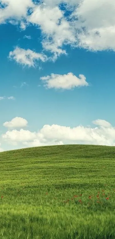 Serene green landscape wallpaper with blue sky.