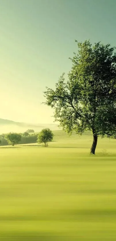 Serene landscape with trees and light green fields.