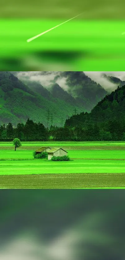 Lush green fields and misty mountains mobile wallpaper.