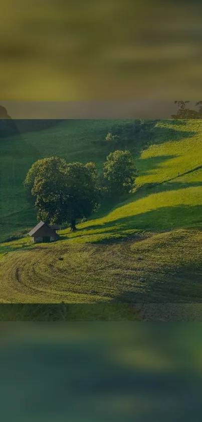 Serene green landscape with hills and house wallpaper.