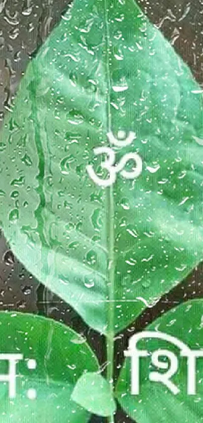 Green leaf wallpaper with sacred Om symbol and text.