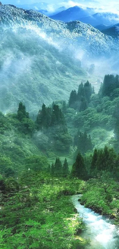 Green mountain landscape with misty forest.