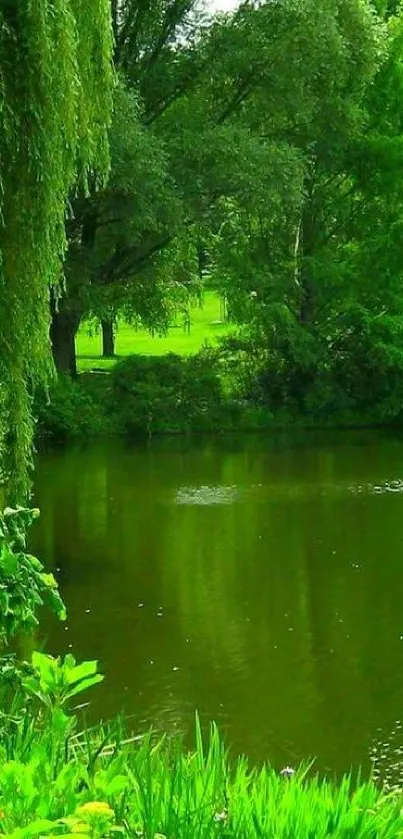 Beautiful green nature scene with trees and a serene pond.