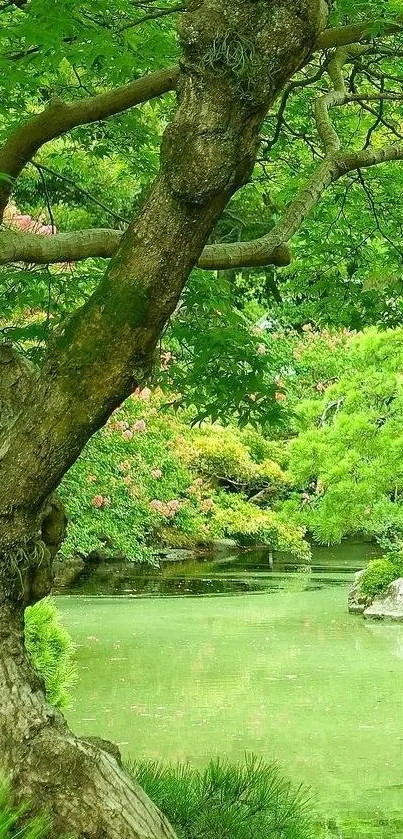 Serene green landscape with tree and pond.