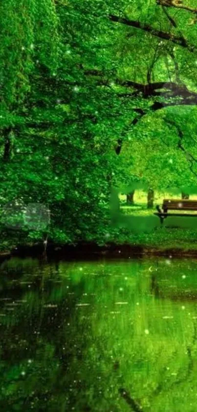 Green park with bench by a pond.