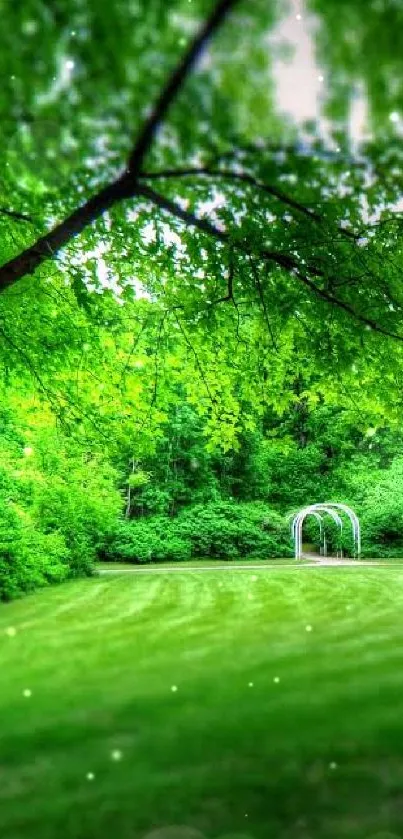 Peaceful park landscape with archway and lush green trees.