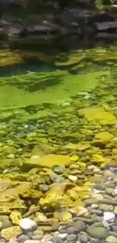 Tranquil green river with stones in a serene natural setting.