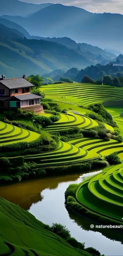 Lush green terraced fields with a countryside house amid hills.