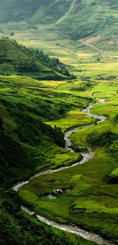 Lush green valley with a winding river and terraced hills.