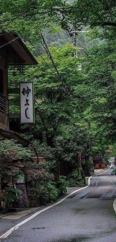 Serene village road surrounded by lush greenery.