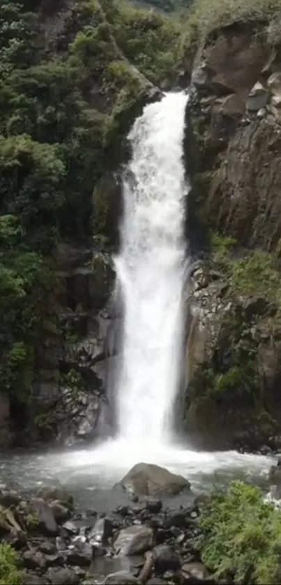 Waterfall surrounded by lush green foliage.