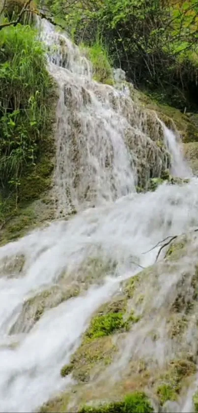 Serene waterfall cascading through lush greenery in a tranquil nature setting.