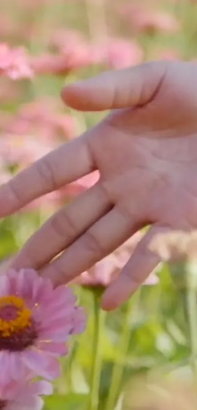 Gentle hand touching pink flowers in serene nature scene.