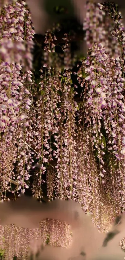Mobile wallpaper with hanging pink flowers.