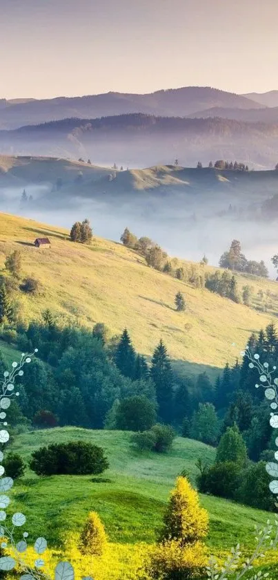 Scenic wallpaper of misty hills and green landscape with morning light.