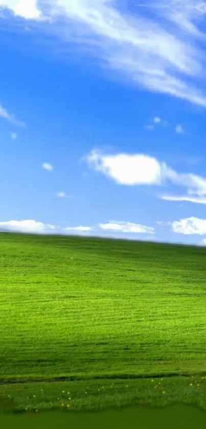 Green hillside under a bright blue sky with white clouds wallpaper.