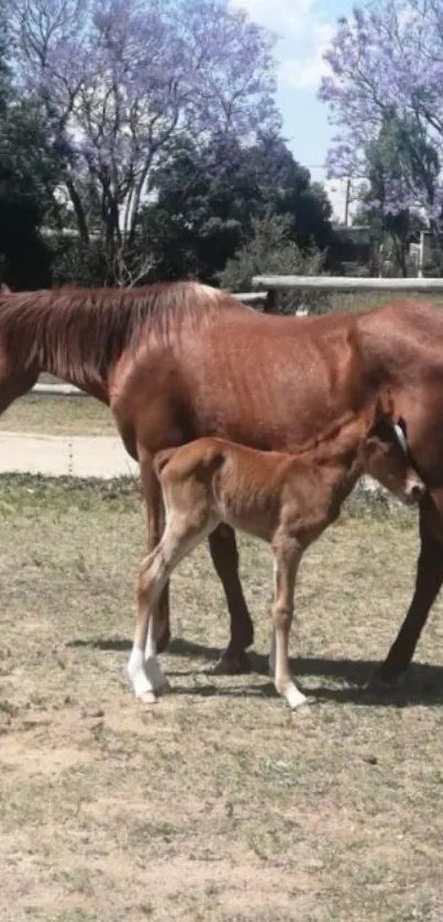 Brown horse with foal in a serene green pasture.