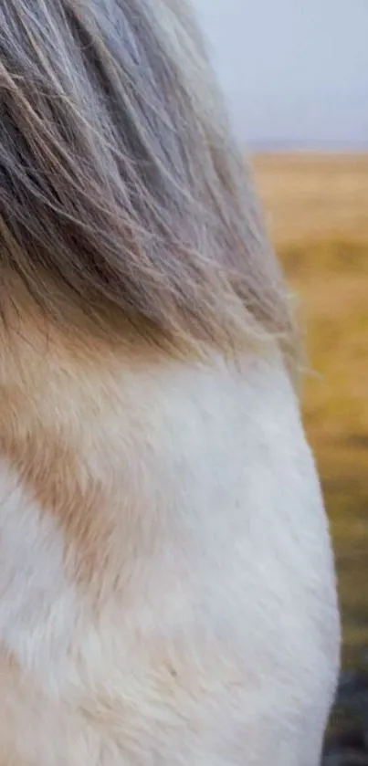 Close-up of a grazing horse in a serene landscape.