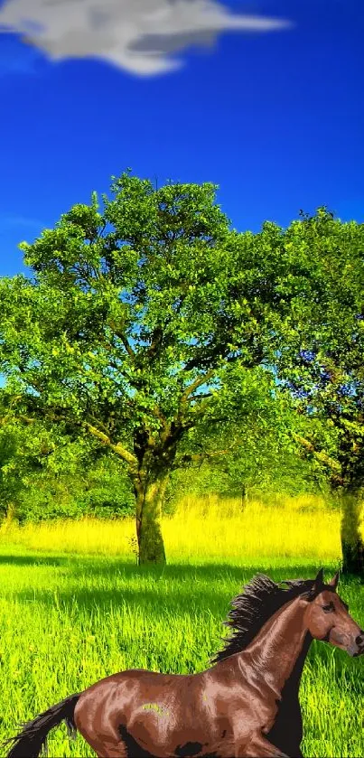 Vibrant wallpaper of a horse running in a green field under a blue sky.