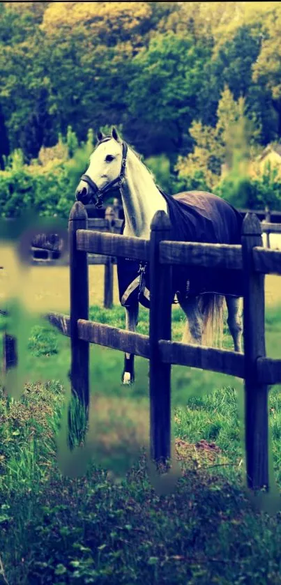 Horse standing gracefully in a lush green pasture.