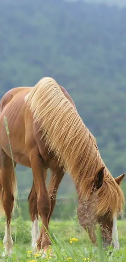 Serene horse grazing in a lush meadow with mountains in the background.