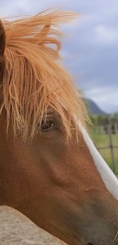 Brown horse with flowing mane in a serene open field.