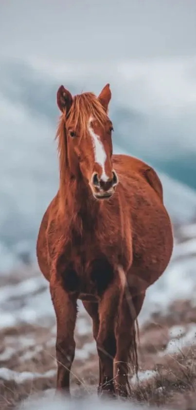 Majestic brown horse standing in snowy landscape.