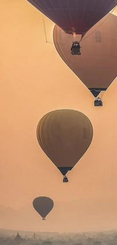 Serene hot air balloons in the morning sky.