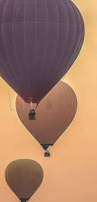 Three hot air balloons float in a pastel orange sky.