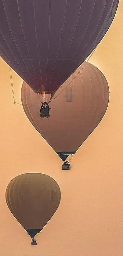 Hot air balloons gently soaring in a serene peach sky.