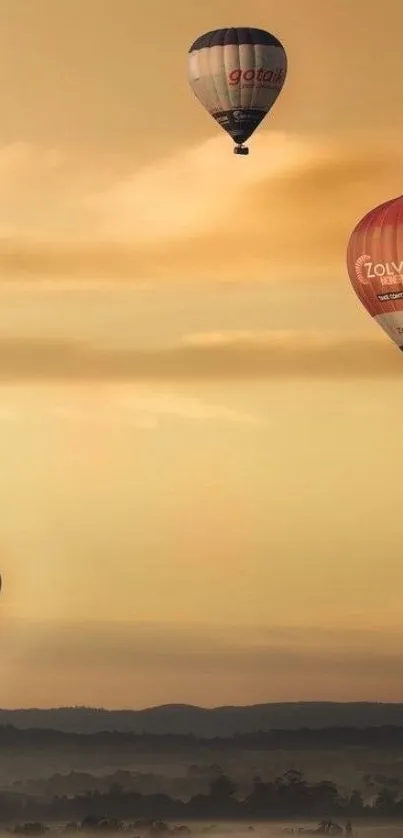 Hot air balloons float peacefully at sunset.