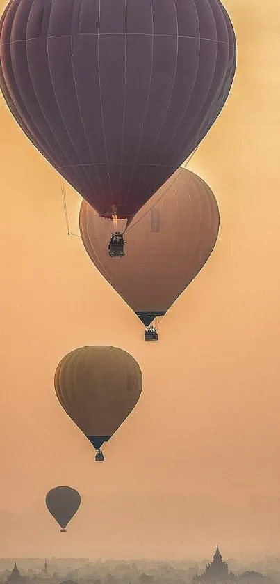 Hot air balloons drifting at sunrise.