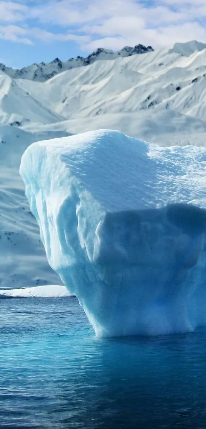 Serene iceberg scene with a blue sky.