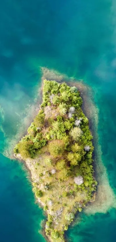 Aerial view of green island surrounded by blue waters in serene mobile wallpaper.