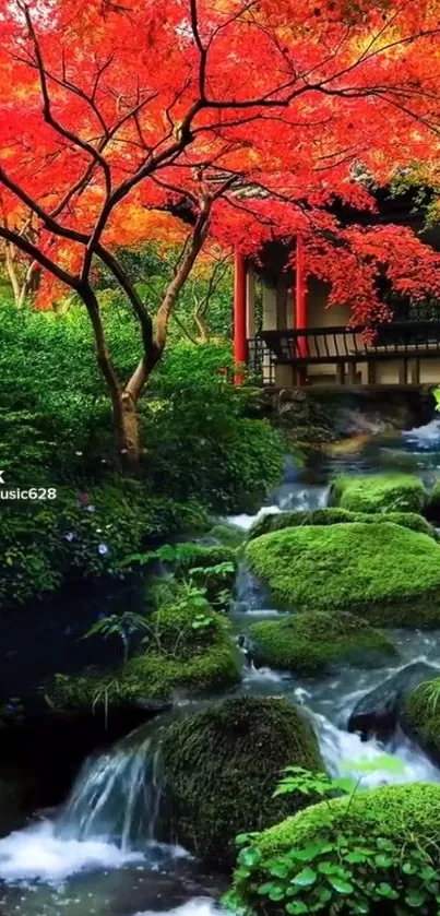 Japanese garden with red leaves and waterfall.