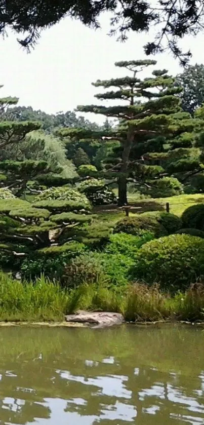 Tranquil Japanese garden with lush greenery and a serene landscape reflection.