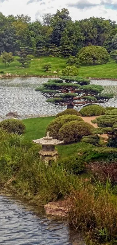 Serene Japanese garden with tree and pond.