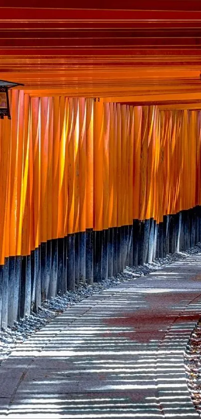 A serene pathway through Japanese torii gates.